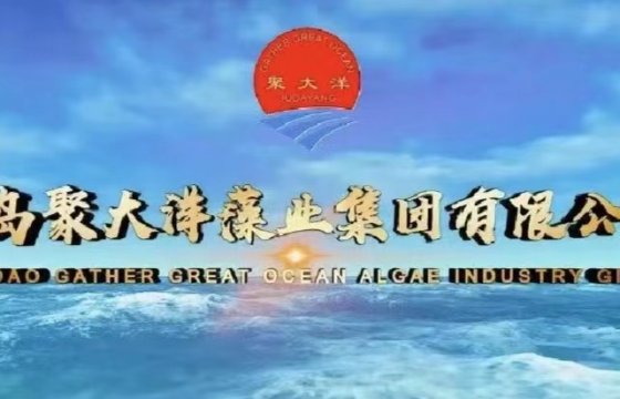 喜報(bào)│聚大洋集團(tuán)被認(rèn)定為山東省瞪羚企業(yè)