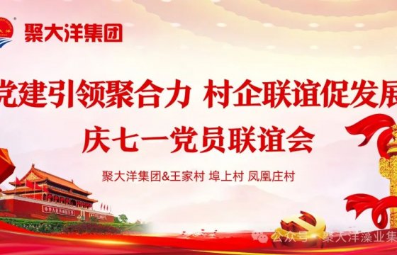 黨建引領(lǐng)聚合力，村企聯(lián)誼促發(fā)展┃聚大洋集團(tuán)舉辦慶七一村企黨員聯(lián)誼會(huì)