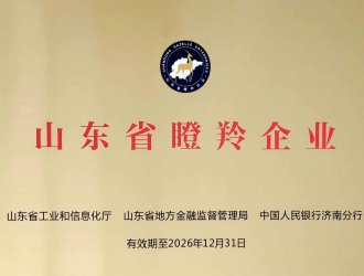 山東省瞪羚企業(yè)